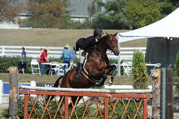 WEG3-10-7-10-Hunters-WEG_6098-DDeRosaPhoto.jpg