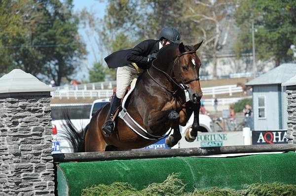 WEG3-10-7-10-Hunters-WEG_6113-DDeRosaPhoto.jpg
