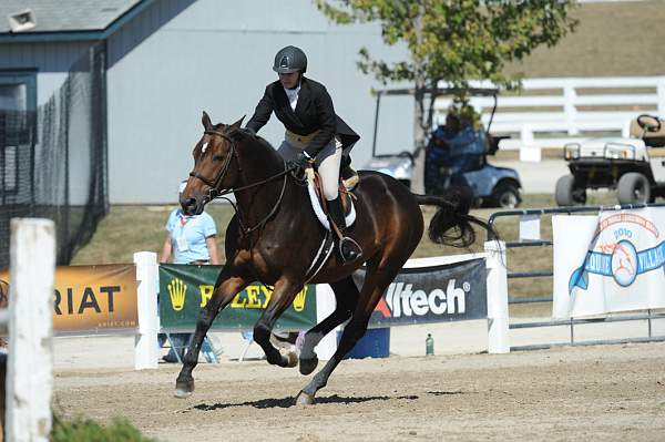WEG3-10-7-10-Hunters-WEG_6131-DDeRosaPhoto.jpg