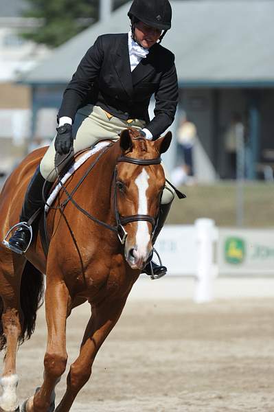 WEG3-10-7-10-Hunters-WEG_6157-DDeRosaPhoto.jpg