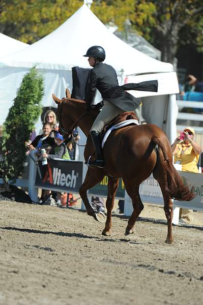 WEG3-10-7-10-Hunters-WEG_6170-DDeRosaPhoto.jpg