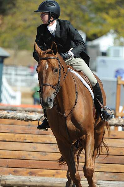 WEG3-10-7-10-Hunters-WEG_6174-DDeRosaPhoto.jpg