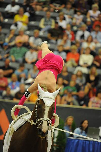 WEG3-10-7-10-Vaulting-5833-DDeRosaPhoto.jpg