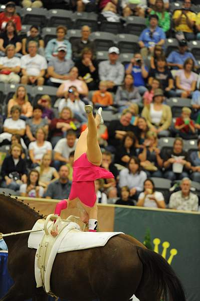 WEG3-10-7-10-Vaulting-5840-DDeRosaPhoto.jpg
