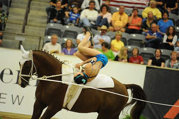 WEG3-10-7-10-Vaulting-5844-DDeRosaPhoto.jpg