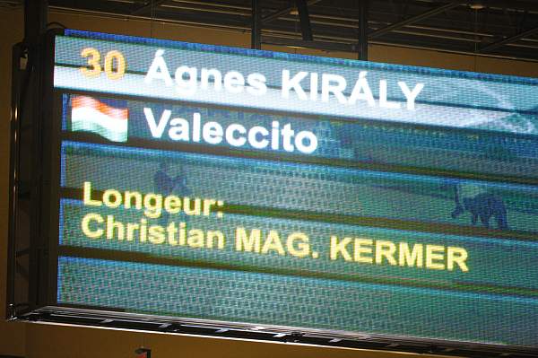 WEG3-10-7-10-Vaulting-5868-DDeRosaPhoto.jpg
