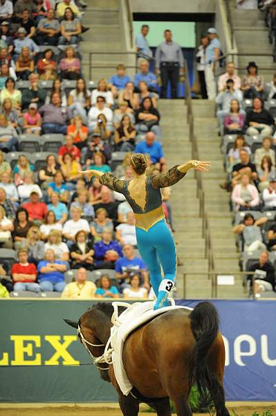 WEG3-10-7-10-Vaulting-5973-DDeRosaPhoto.jpg