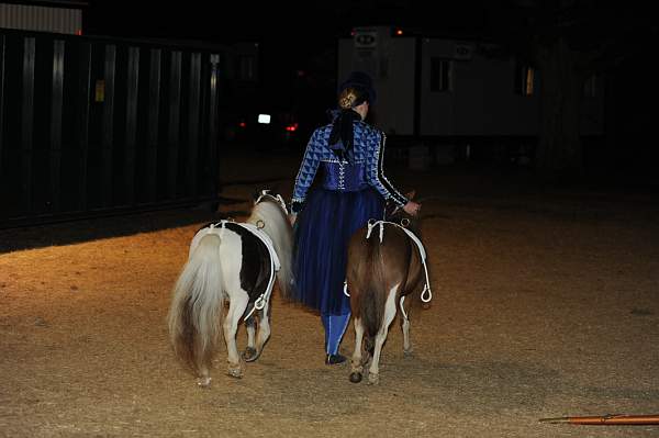 WEG1-9-22-10-Miramar_0136-DDeRosaPhoto.jpg