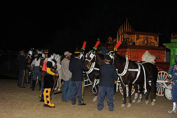 WEG1-9-22-10-Miramar_0145-DDeRosaPhoto.jpg