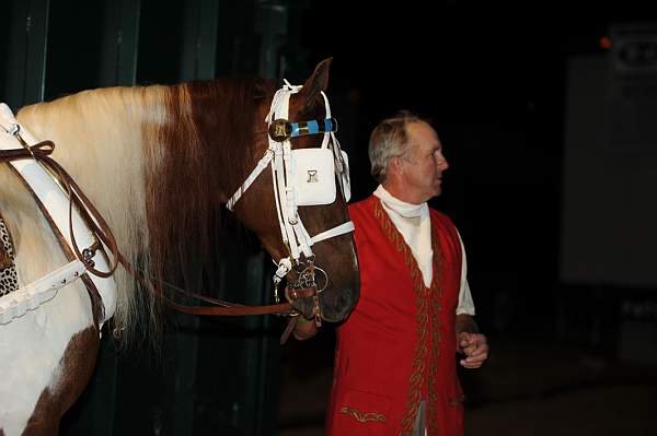 WEG1-9-22-10-Miramar_0148-DDeRosaPhoto.jpg