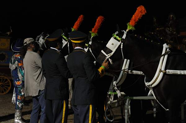 WEG1-9-22-10-Miramar_0152-DDeRosaPhoto.jpg