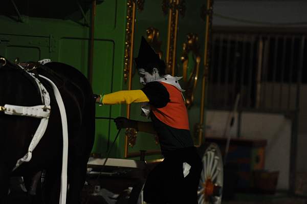 WEG1-9-22-10-Miramar_0159-DDeRosaPhoto.jpg
