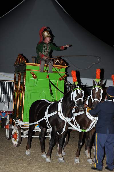 WEG1-9-22-10-Miramar_0201-DDeRosaPhoto.jpg