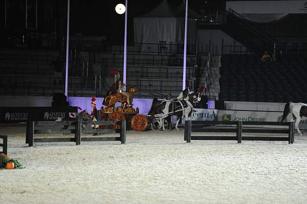 WEG1-9-22-10-Miramar_0254-DDeRosaPhoto.jpg