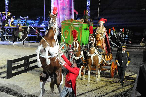 WEG1-9-22-10-Miramar_0275-DDeRosaPhoto.jpg
