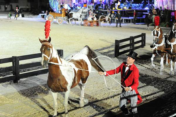WEG1-9-22-10-Miramar_0276-DDeRosaPhoto.jpg