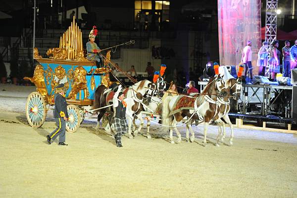 WEG1-9-22-10-Miramar_0307-DDeRosaPhoto.jpg