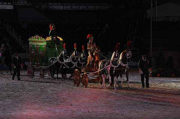 WEG1-9-22-10-Miramar_0346-DDeRosaPhoto.jpg