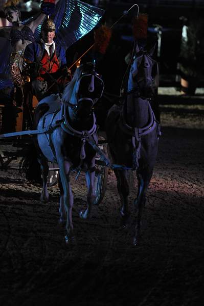 WEG1-9-22-10-Miramar_0364-DDeRosaPhoto.jpg