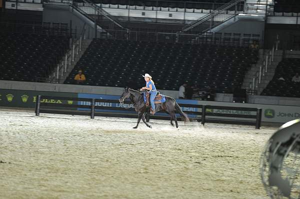 WEG1-9-22-10-Miramar_0226-DDeRosaPhoto.jpg