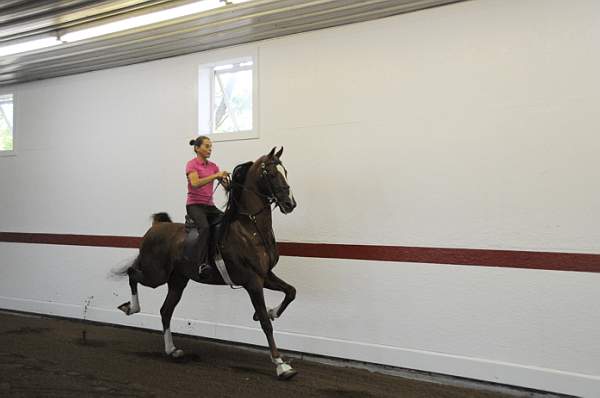 WEG1-9-24-10-Tour_0800-DDeRosaPhoto.jpg