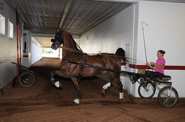 WEG1-9-24-10-Tour_0838-DDeRosaPhoto.jpg