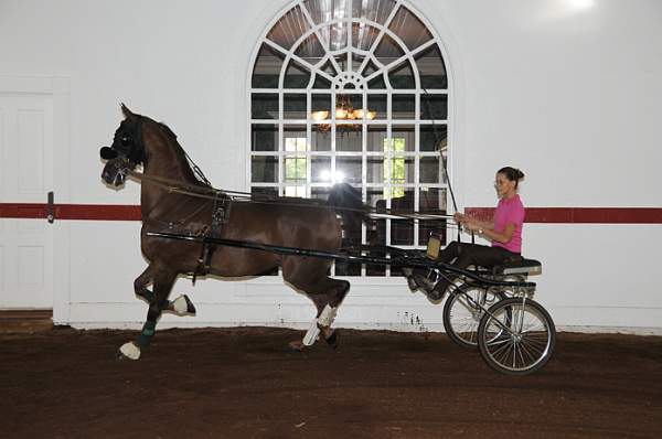 WEG1-9-24-10-Tour_0841-DDeRosaPhoto.jpg