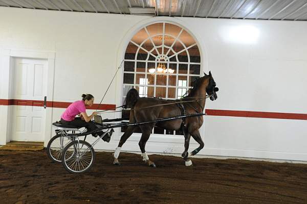 WEG1-9-24-10-Tour_0854-DDeRosaPhoto.jpg