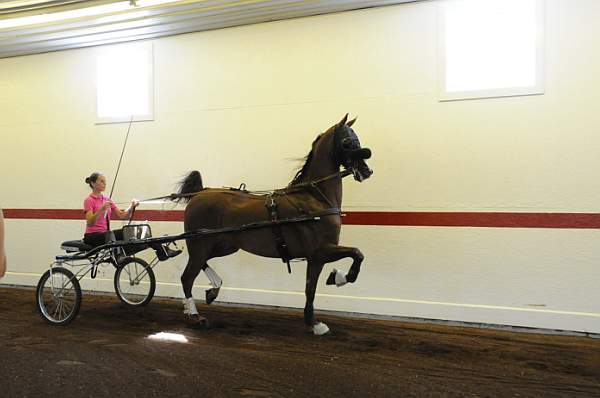 WEG1-9-24-10-Tour_0857-DDeRosaPhoto.jpg