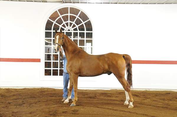 WEG1-9-24-10-Tour_0882-DDeRosaPhoto.jpg