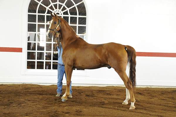 WEG1-9-24-10-Tour_0893-DDeRosaPhoto.jpg