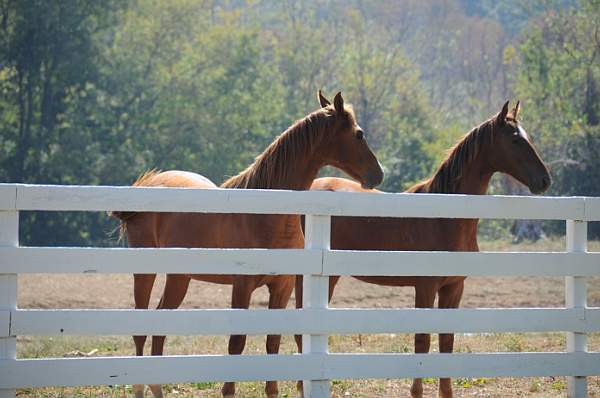 WEG1-9-24-10-Tour_0916-DDeRosaPhoto (1).jpg
