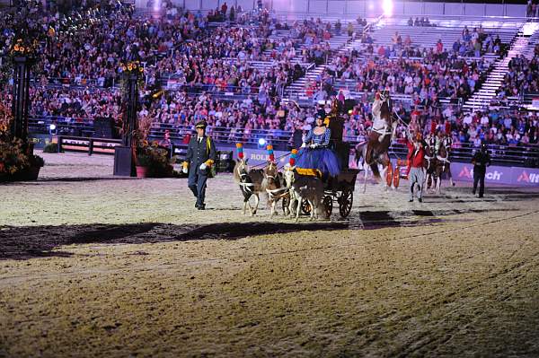 WEG1-9-25-10-Opening-WEG_1777-DDeRosaPhoto.jpg