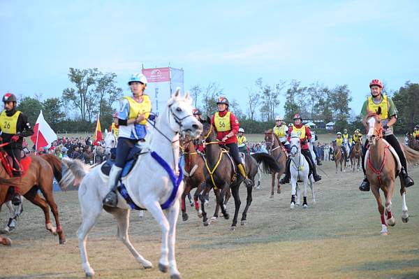 WEG1-9-26-10-Endurance-2341-DDeRosaPhoto.jpg