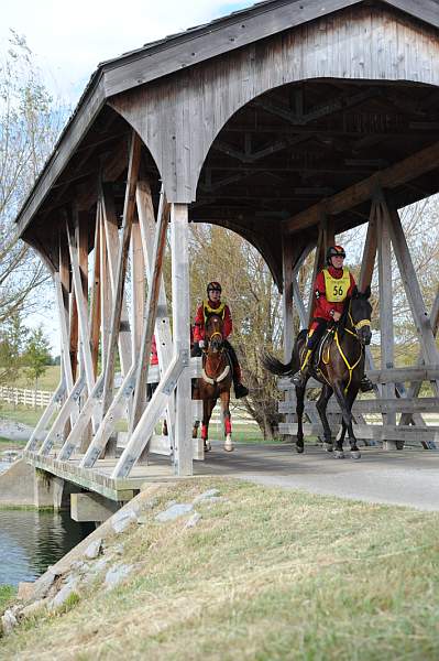 WEG1-9-26-10-Endurance-2695-DDeRosaPhoto.jpg