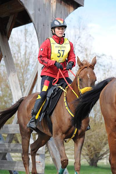 WEG1-9-26-10-Endurance-2702-DDeRosaPhoto.jpg