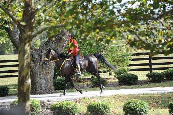 WEG1-9-26-10-Endurance-2858-DDeRosaPhoto.jpg