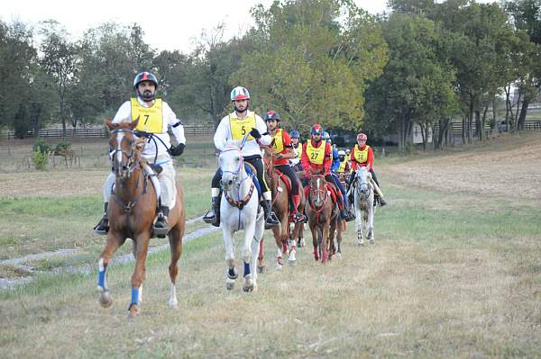 WEG1-9-26-10-Endurance-DSC_3236-DDeRosaPhoto.jpg