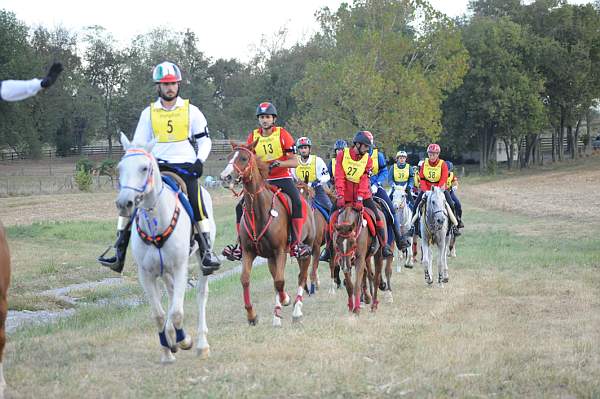 WEG1-9-26-10-Endurance-DSC_3239-DDeRosaPhoto.jpg