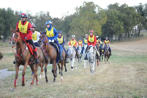 WEG1-9-26-10-Endurance-DSC_3243-DDeRosaPhoto.jpg