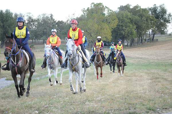 WEG1-9-26-10-Endurance-DSC_3246-DDeRosaPhoto.jpg