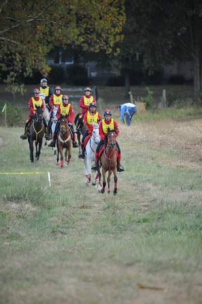 WEG1-9-26-10-Endurance-DSC_3496-DDeRosaPhoto.jpg