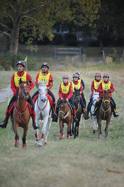 WEG1-9-26-10-Endurance-DSC_3503-DDeRosaPhoto.jpg