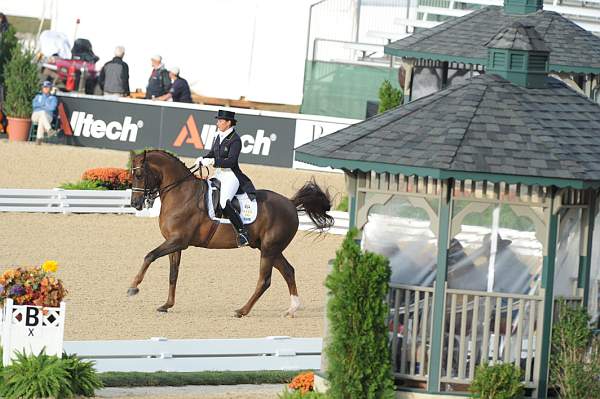 WEG1-9-28-10-DressageGP-5529-DDeRosaPhoto.jpg