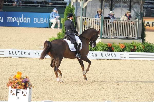 WEG1-9-28-10-DressageGP-5547-DDeRosaPhoto.jpg