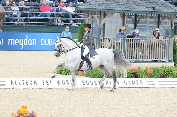 WEG1-9-28-10-DressageGP-5702-DDeRosaPhoto.jpg