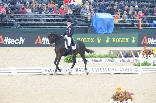 WEG1-9-28-10-DressageGP-5788-DDeRosaPhoto.jpg