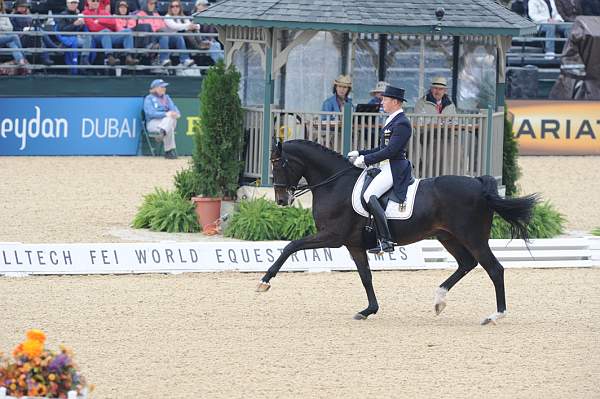 WEG1-9-28-10-DressageGP-5817-DDeRosaPhoto.jpg