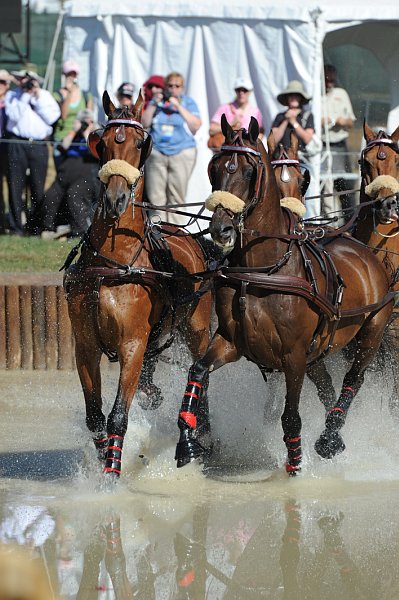 WEG4-10-9-10-DR-Marathon-0346-ChesterWeber-DDeRosaPhoto.jpg