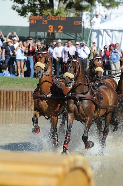 WEG4-10-9-10-DR-Marathon-0347-ChesterWeber-DDeRosaPhoto.jpg